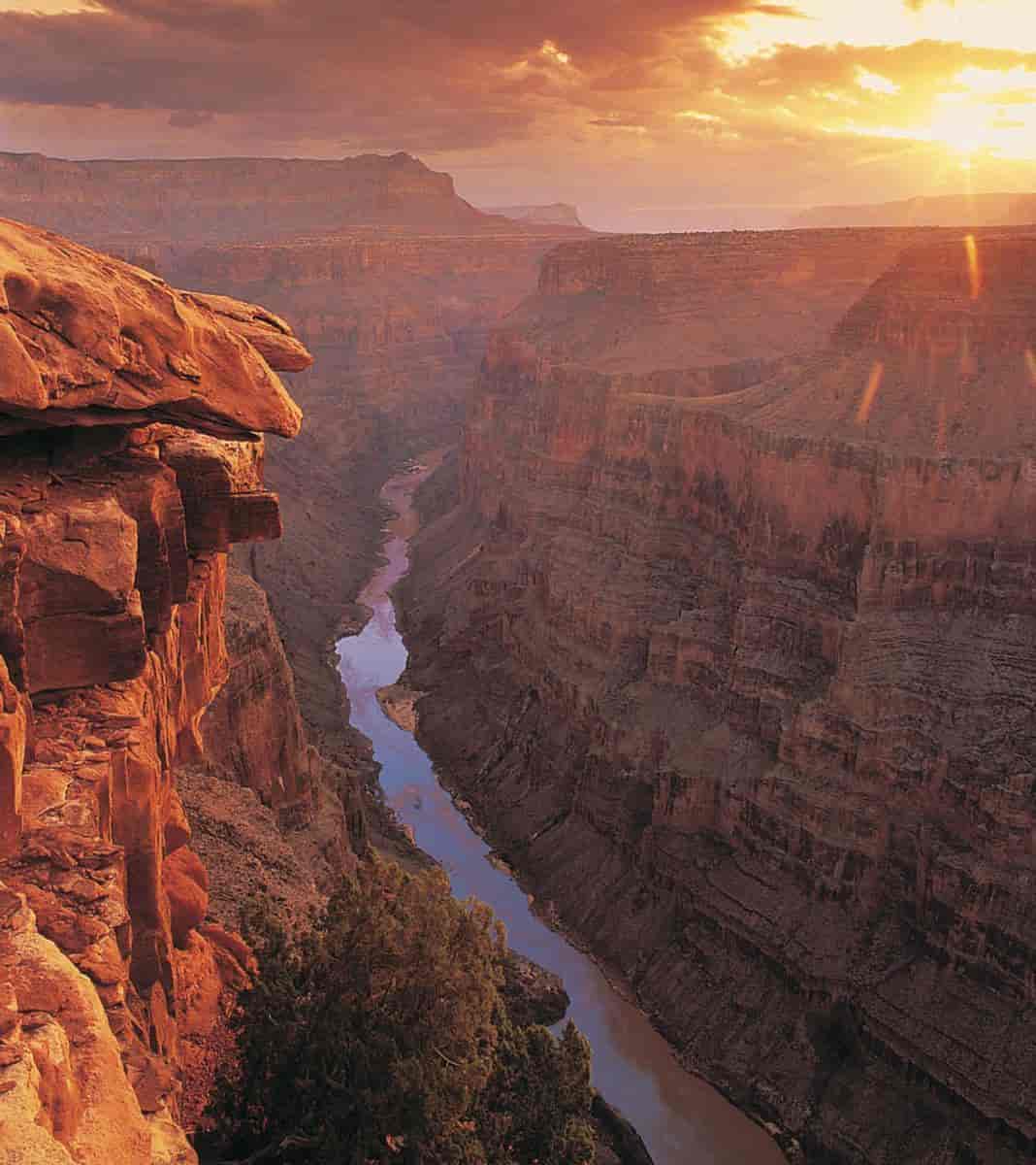 Foto av Grand Canyon