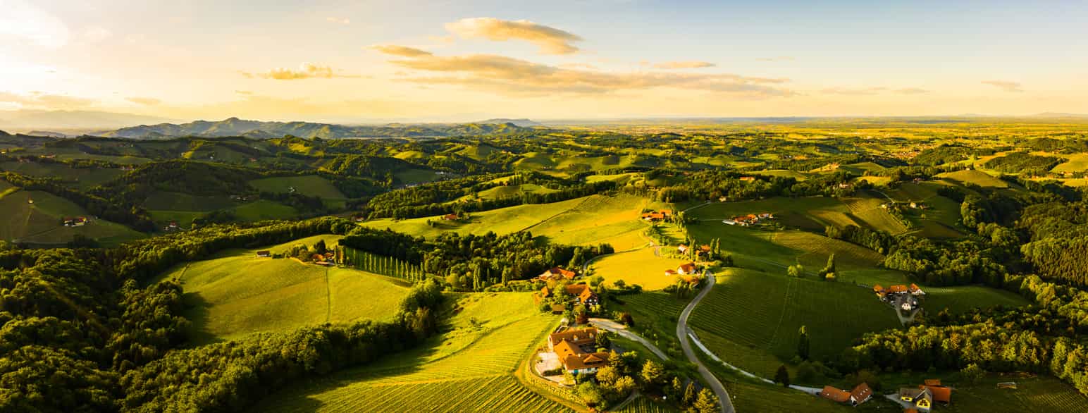 Vinmarker i sørlige Steiermark, Østerrike