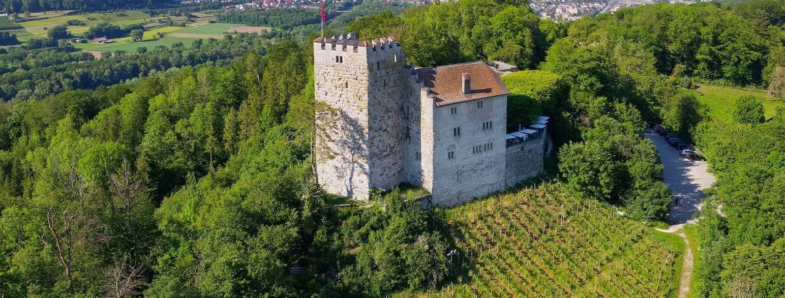 Habsburg slott