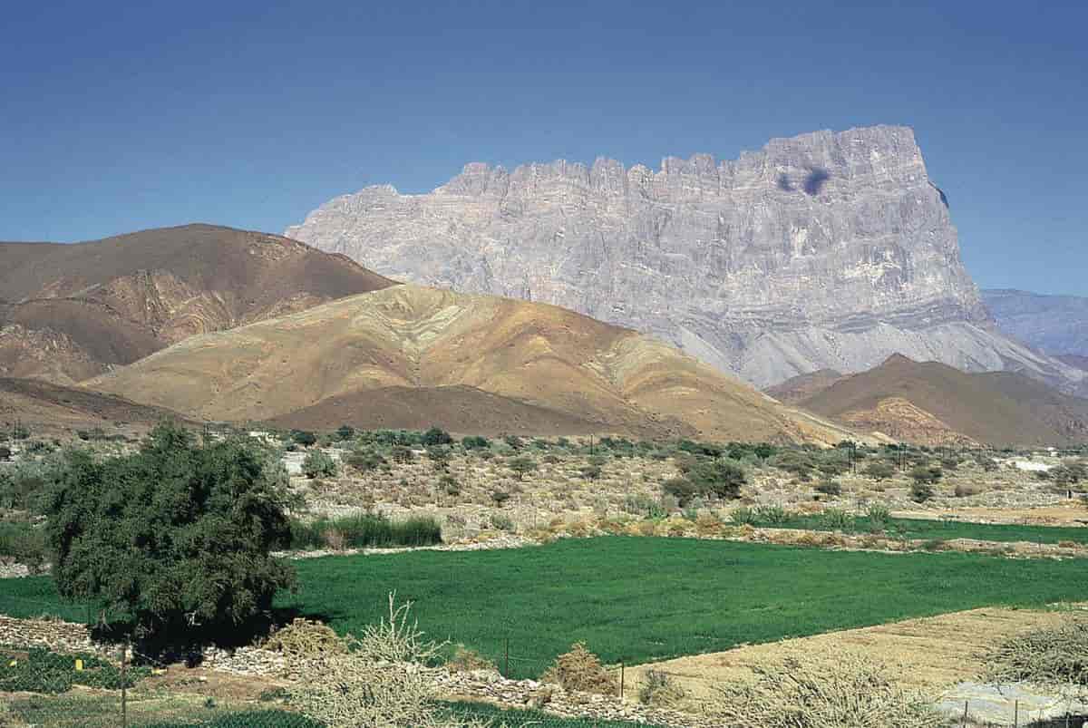 Oman (Jebel Mischt)