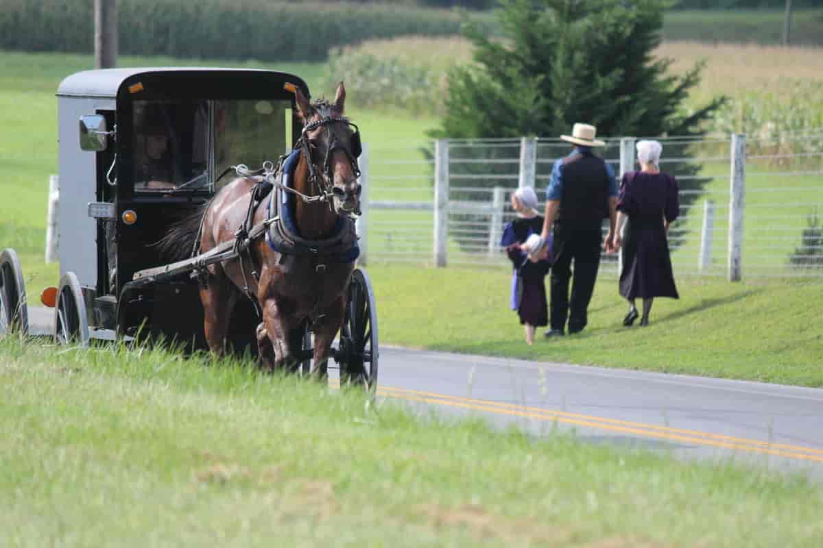 The Amish Village i Pennsylvania