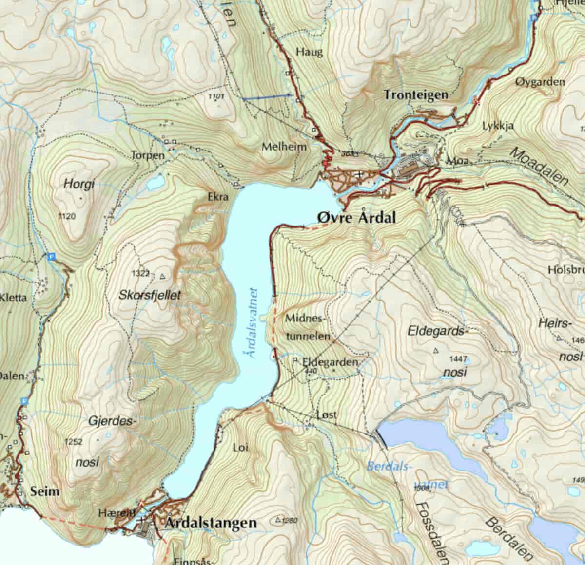 Utsnitt av N50-kart for Årdal i Indre Sogn