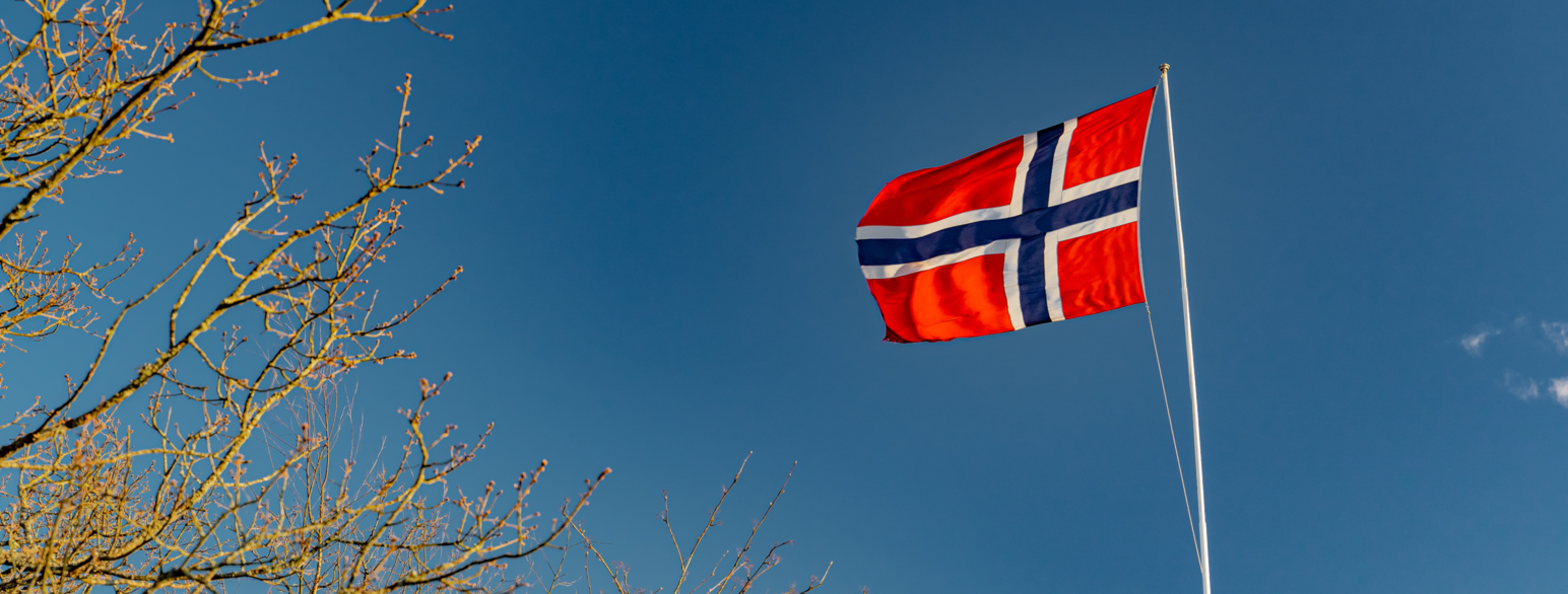 Norsk flagg i bris
