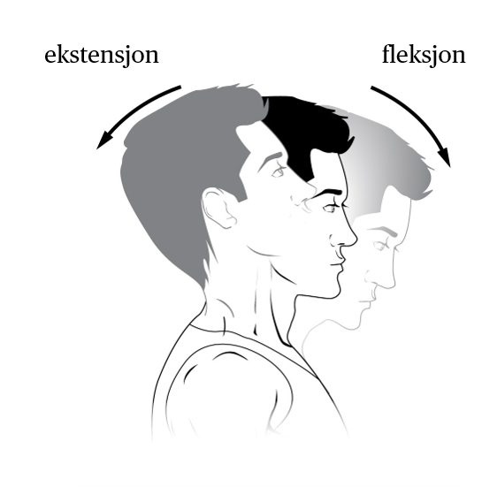 Fleksjon og ekstensjon i nakken
