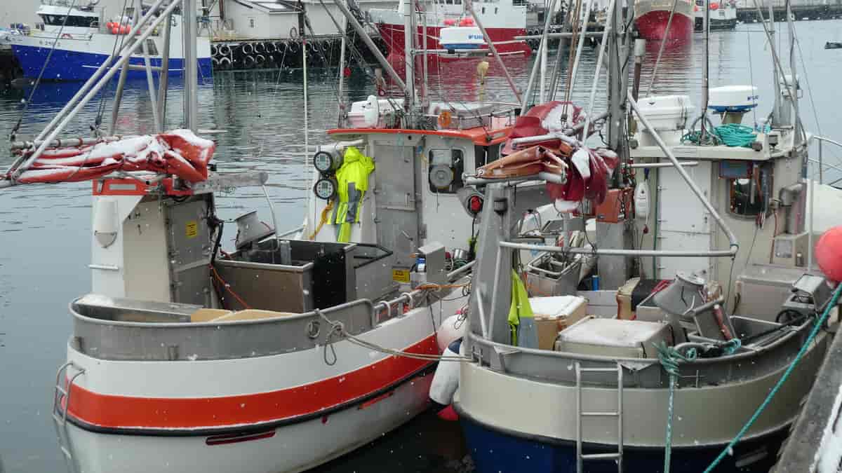 Fiskebåter rigget for juksefiske, Røst 2019.