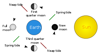 Stillingene til måne og sol i løpet av et måne-omløp rundt Jorden.