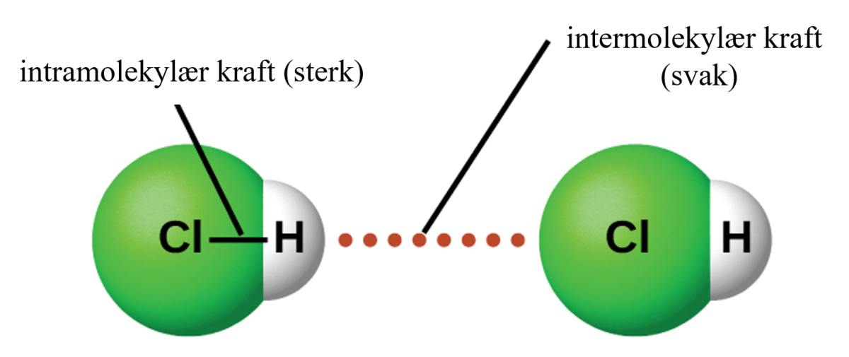Intramolekylære og intermolekylære krefter