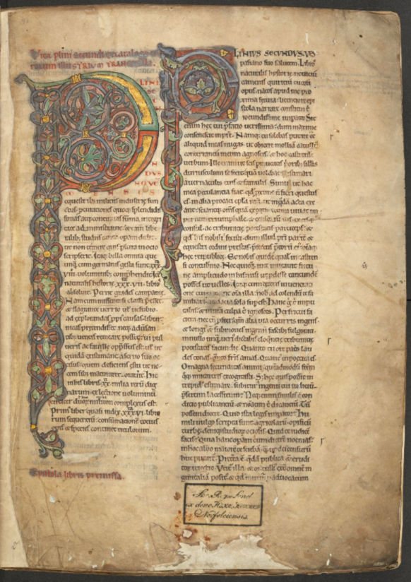 Historia naturalis, manuskript fra 1200-tallet