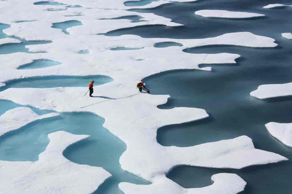 Arktisk havis