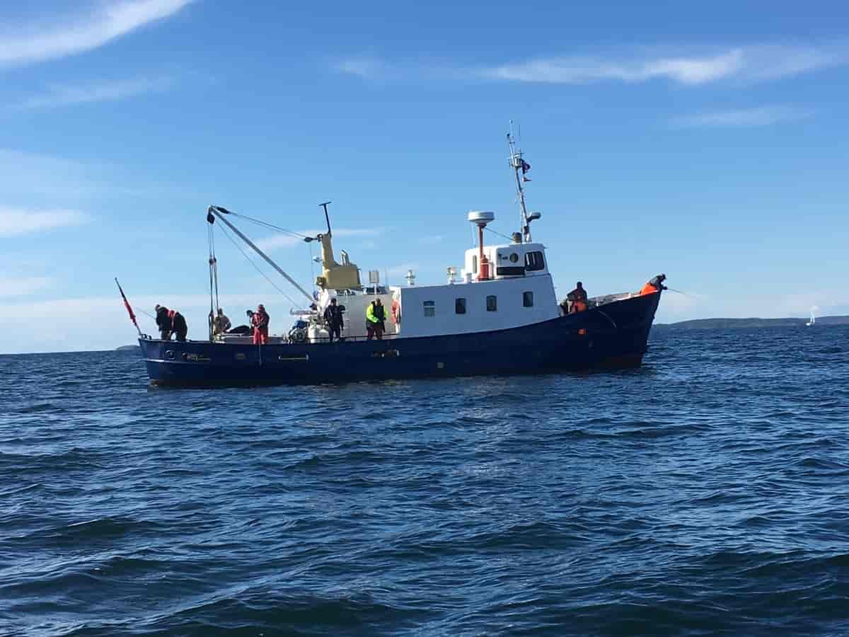 Fiskekonkurranse i Ytre Oslofjord