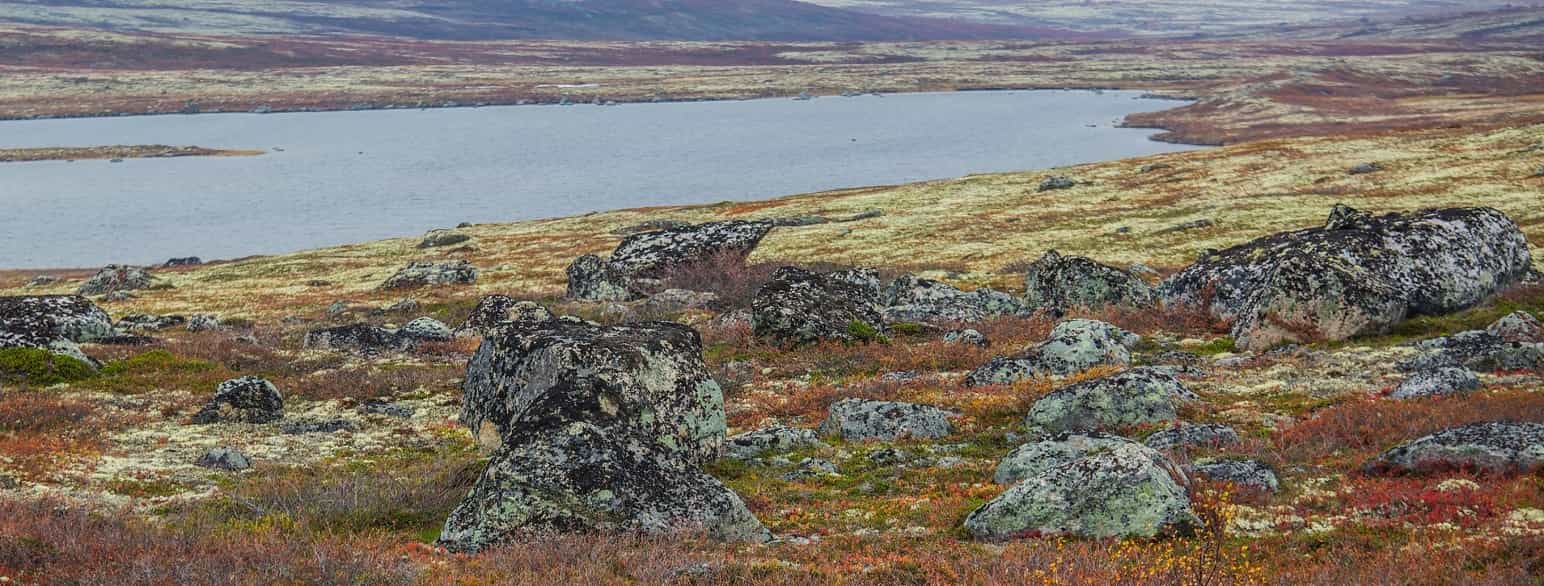 Tundra-landskap på Kolahalvøya