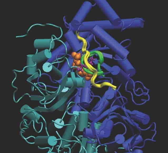 Utsnitt av rubisko-proteinets struktur