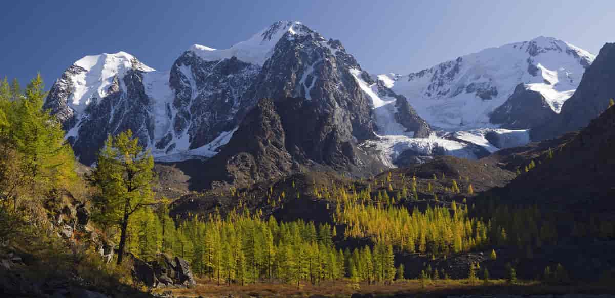Altaj-fjellene