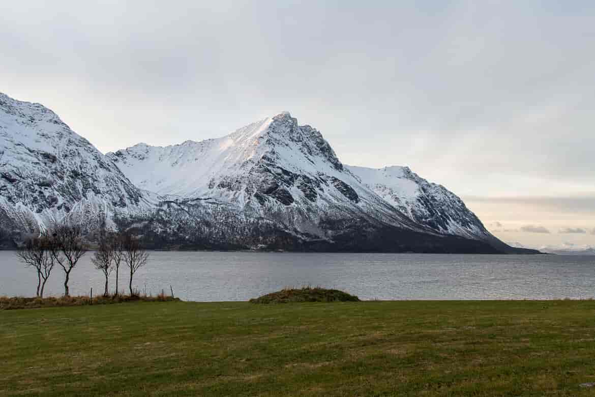 Bjarkøya