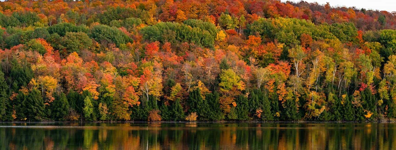 Høstfarger i Vermont, USA