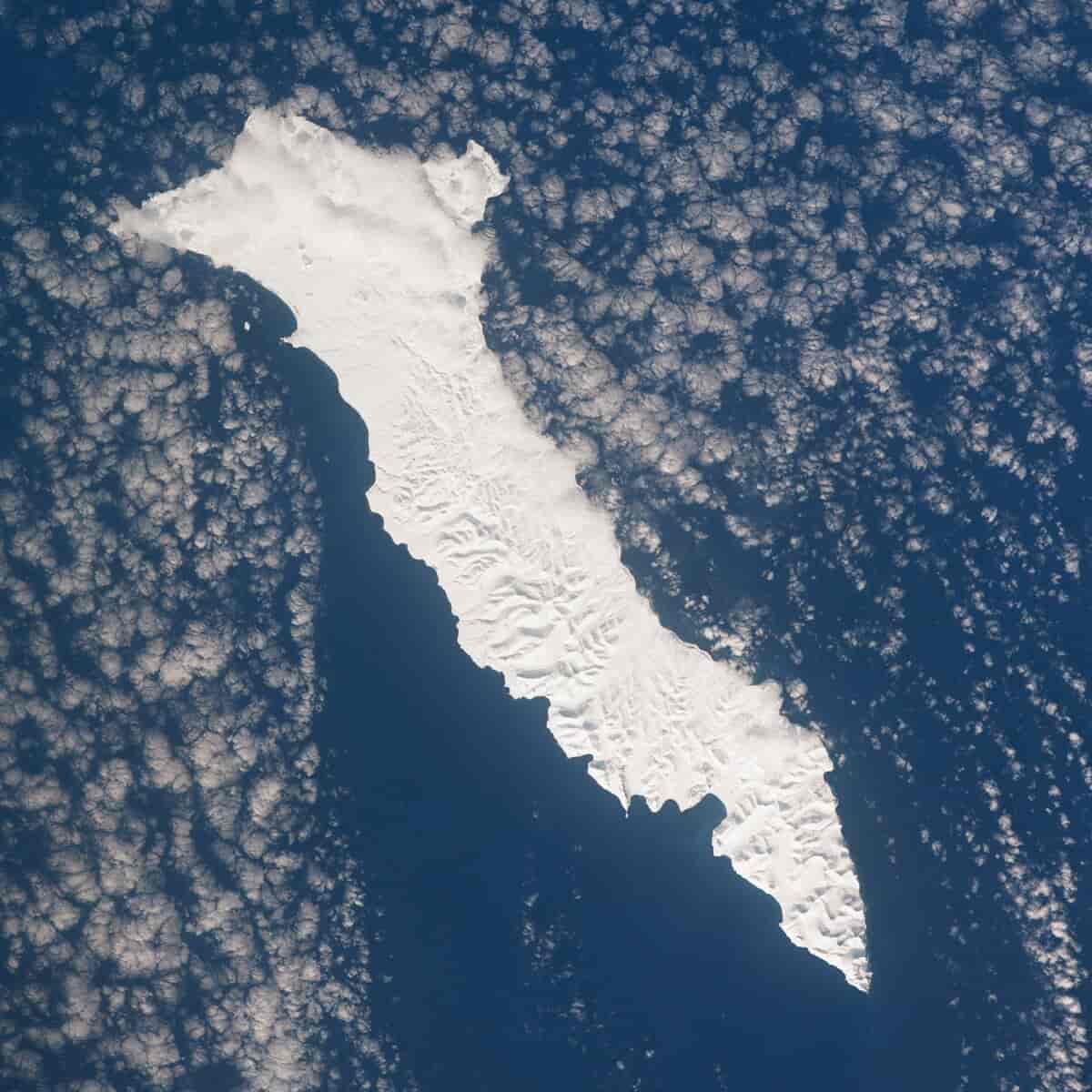 Ostrov Beringa