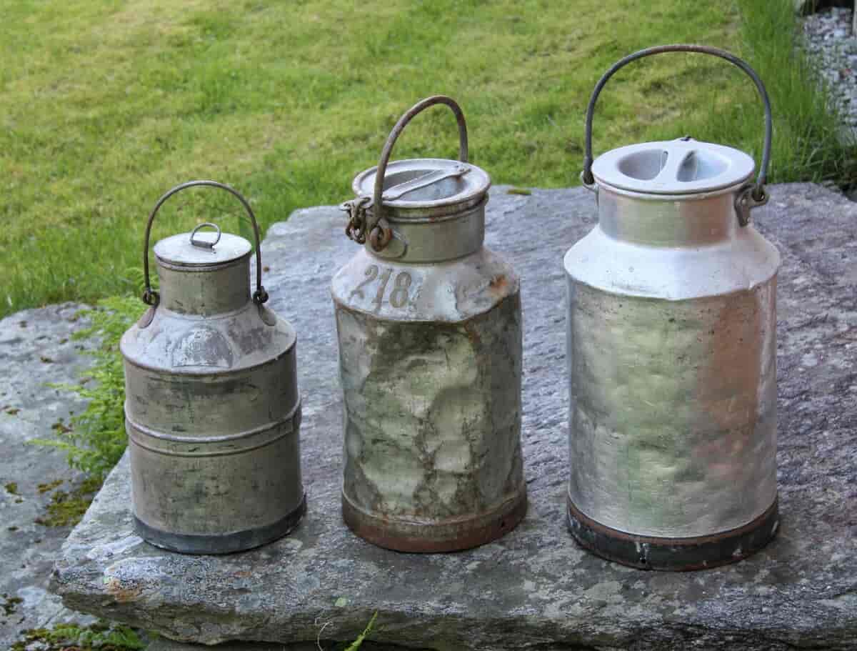 Tre generasjoner med melkespann. De to til venstre er av fortinnet stål, det til høyre av aluminium. Spannet i midten viser at spannene kunne få hard medfart under transport.