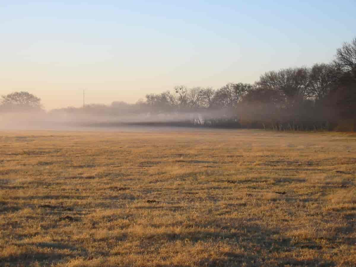 Strålingståke en tidlig, kjølig morgen i Texas.
