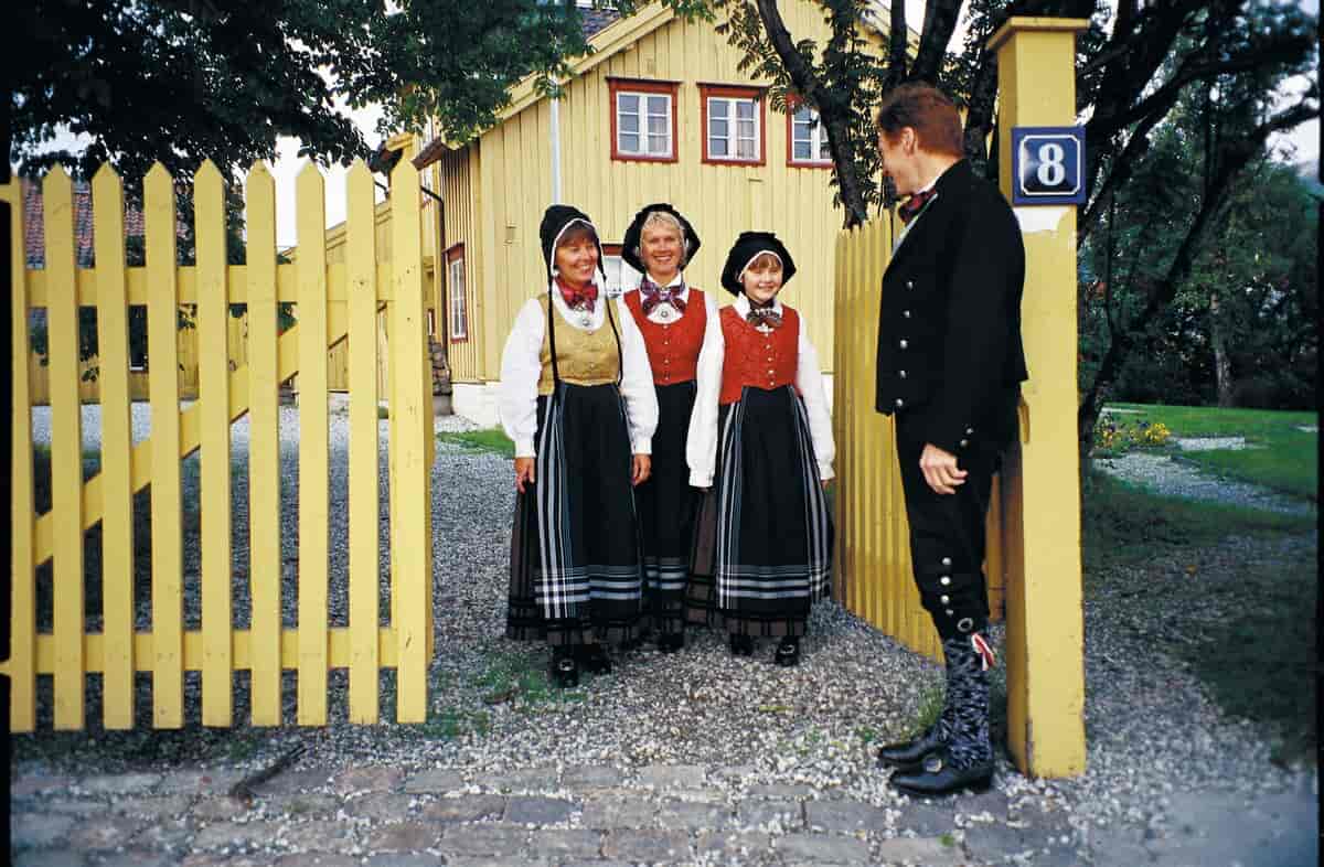 Kvinnebunad fra Troms