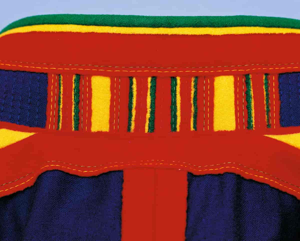 Detalj av kragen som tydelig viser søm og dekor