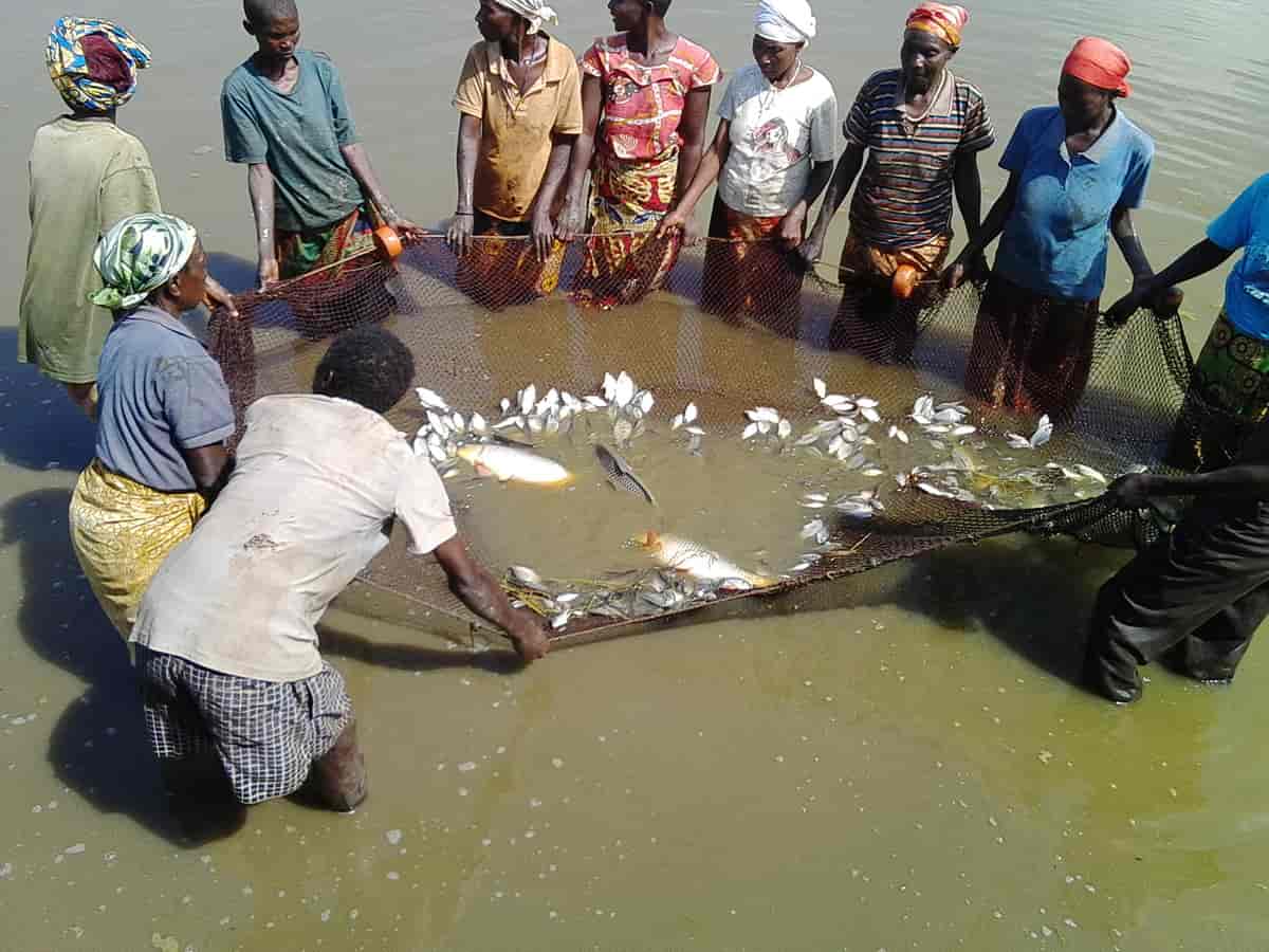 Burundiske fiskere