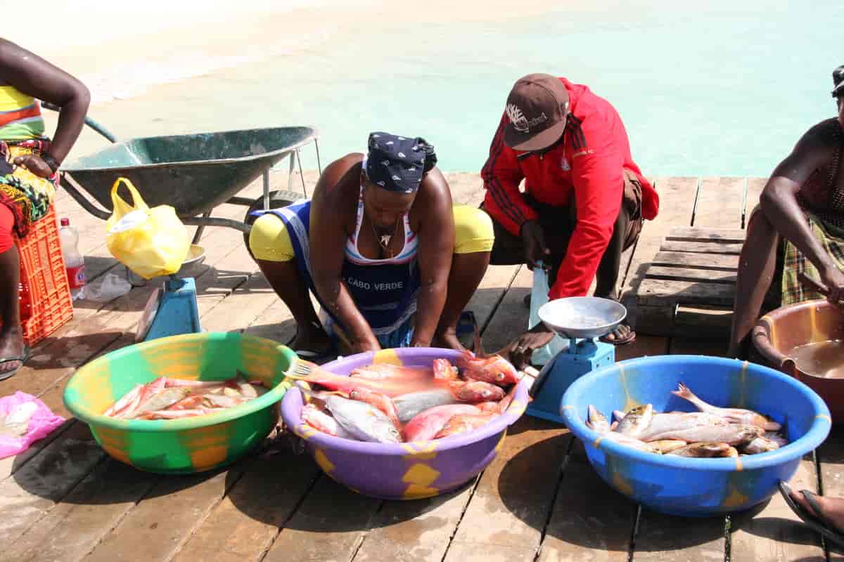 Kappverdianere selger fisk