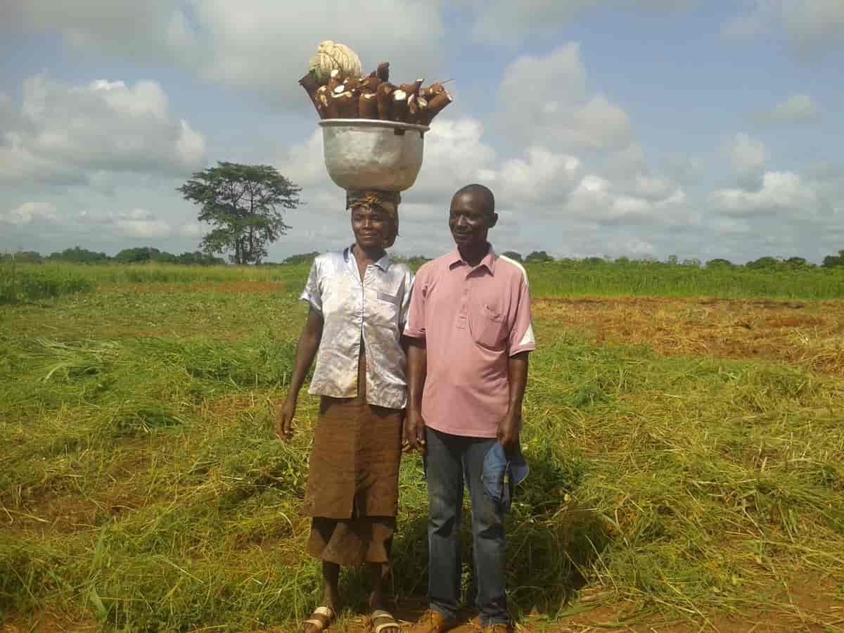 Bønder i Den sentralafrikanske republikk
