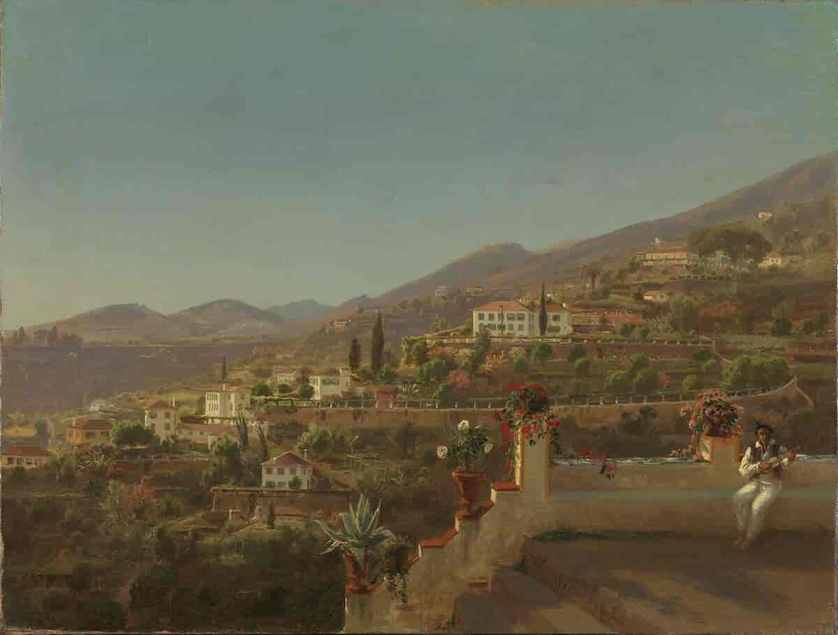 Fra Funchal på Madeira, 1854