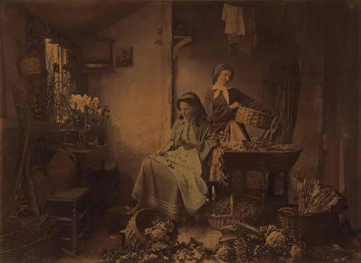 Preparing Spring Flowers for Market (1873)