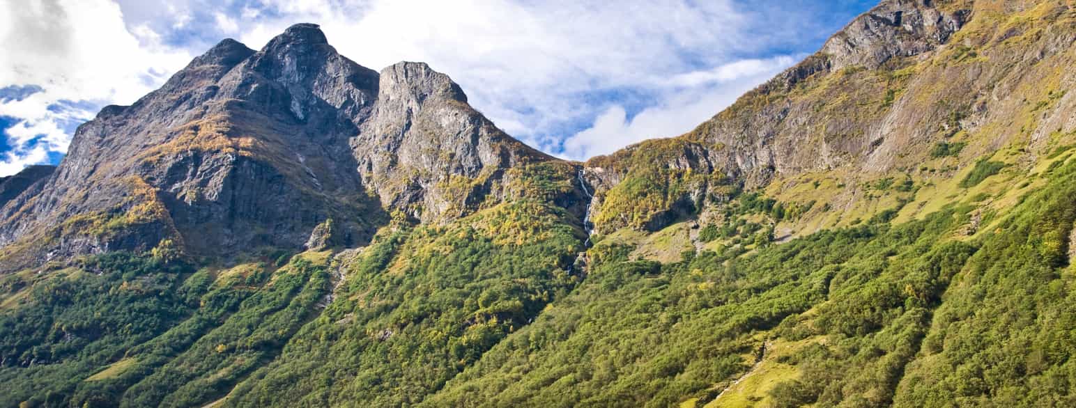 Skoggrensen i norsk fjell