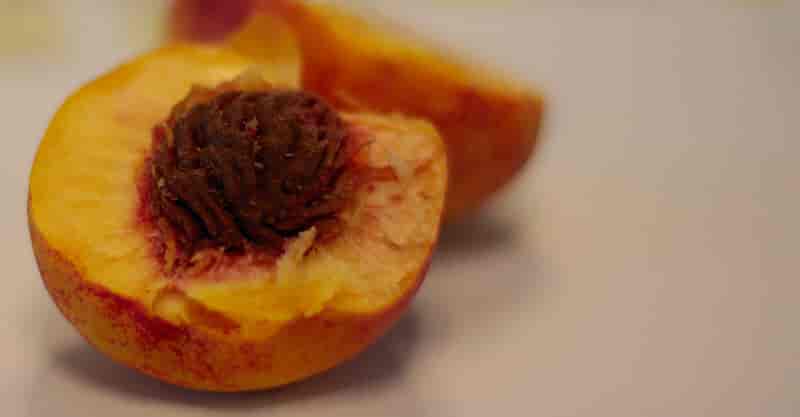Overskåret frukt av Prunus persica var. nucipersica, nektarin.