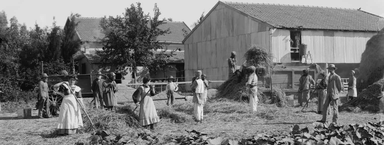 Arbeidere på en kibbutz i Palestina i mellomkrigstiden,