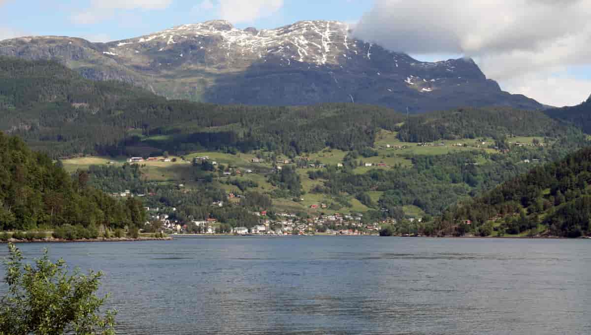 Ulvikafjorden