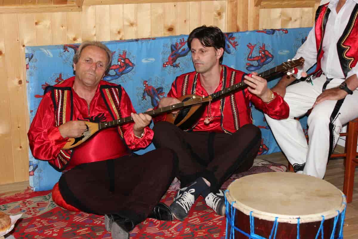Albanske musikere