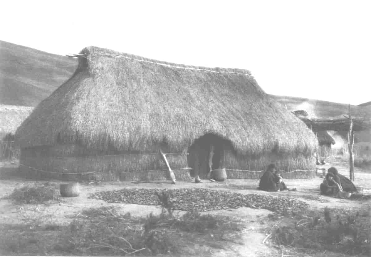 Mapuche-hus