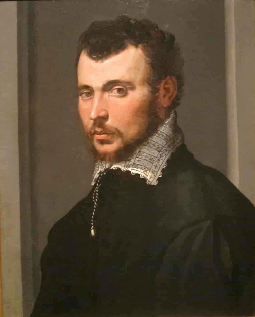 Portrett av ung mann, 1550