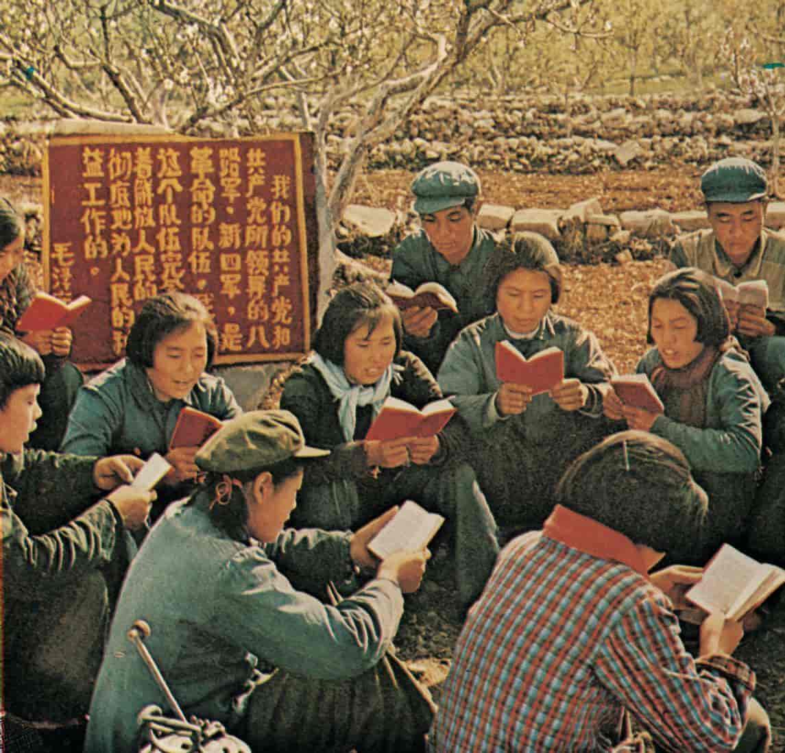kulturrevolusjonen, kollektiv lesing