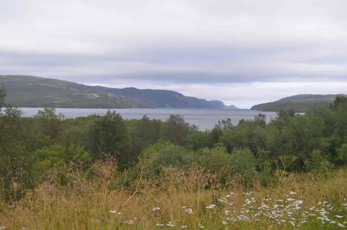 Jarfjorden