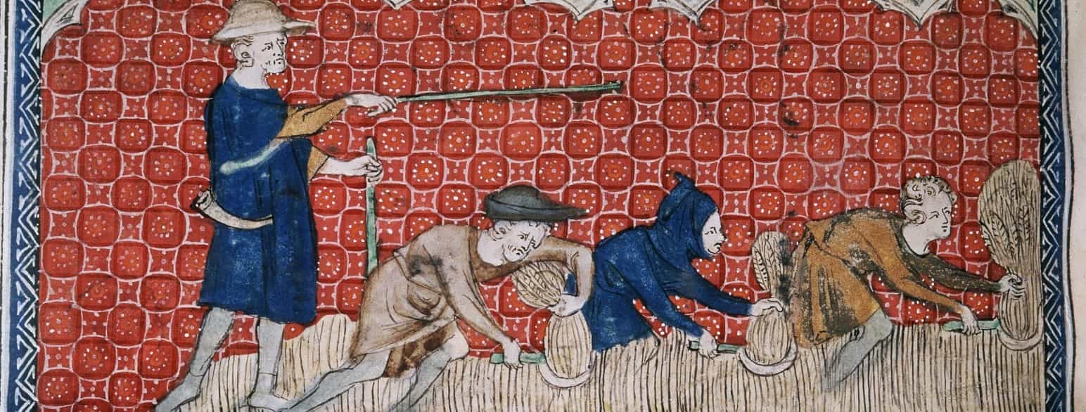 Ufrie bønder blir tvunget til å arbeide fortere. De ufrie bøndene var den viktigste arbeidskraften i middelalderens føydalsystem. Fra Queen Mary Psalter (1300-tallet)