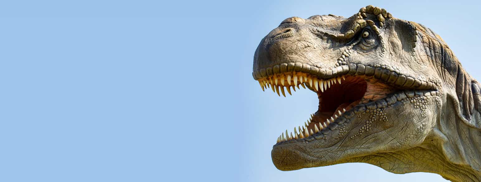 Modell av Tyrannosaurus, Bologna