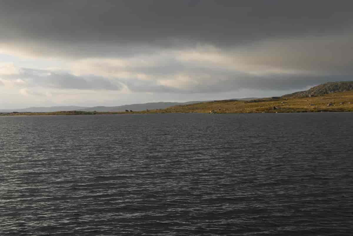 Halnefjorden.
