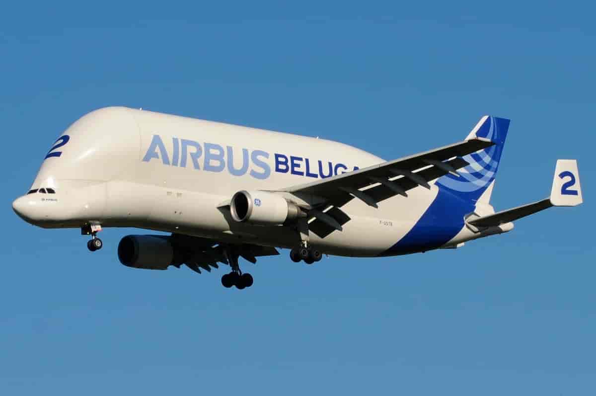 Beluga transportfly