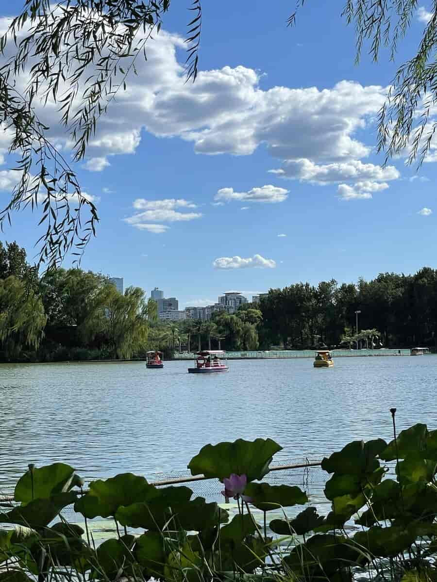 Chaoyang-parken