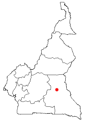 Cameroon - Bertoua