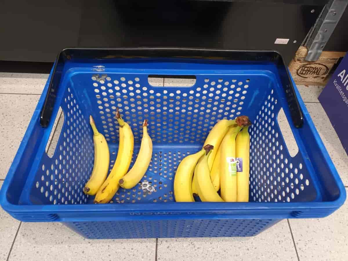 Tre single bananer og to bananklaser