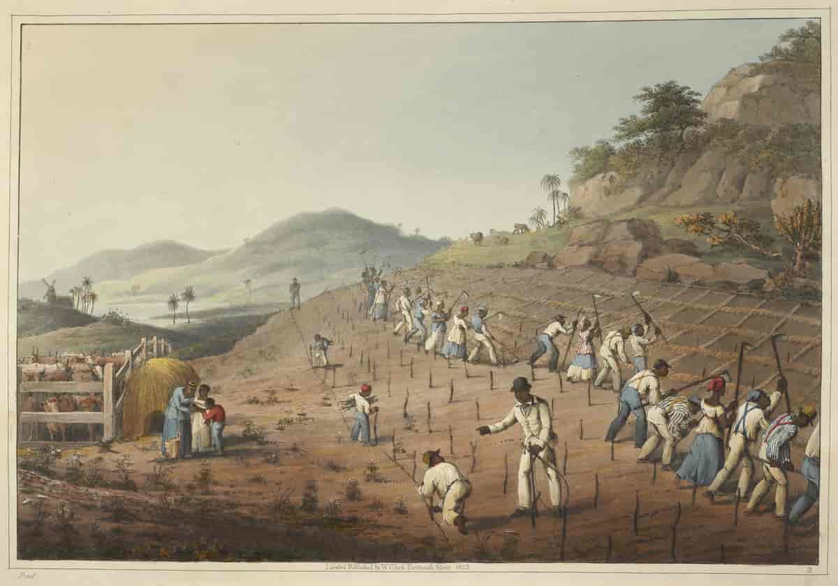 Slaver på Antigua