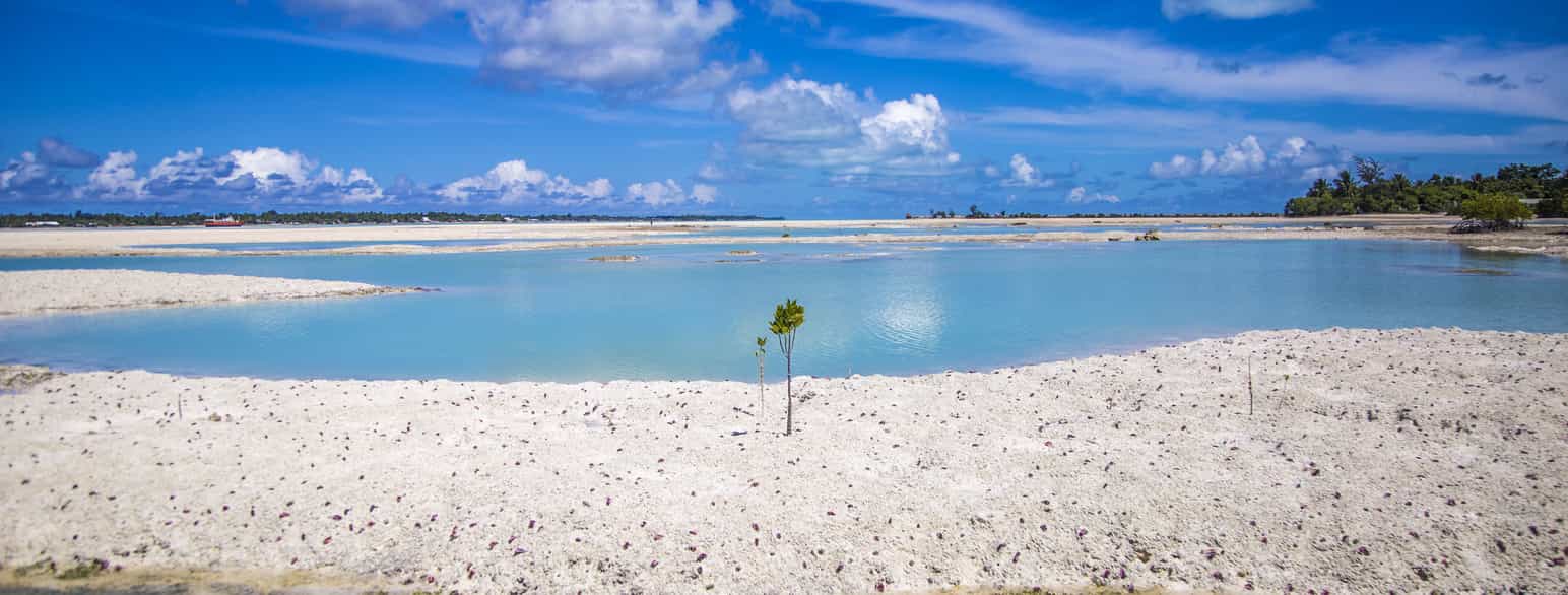 Lagune på Tarawa, Kiribati