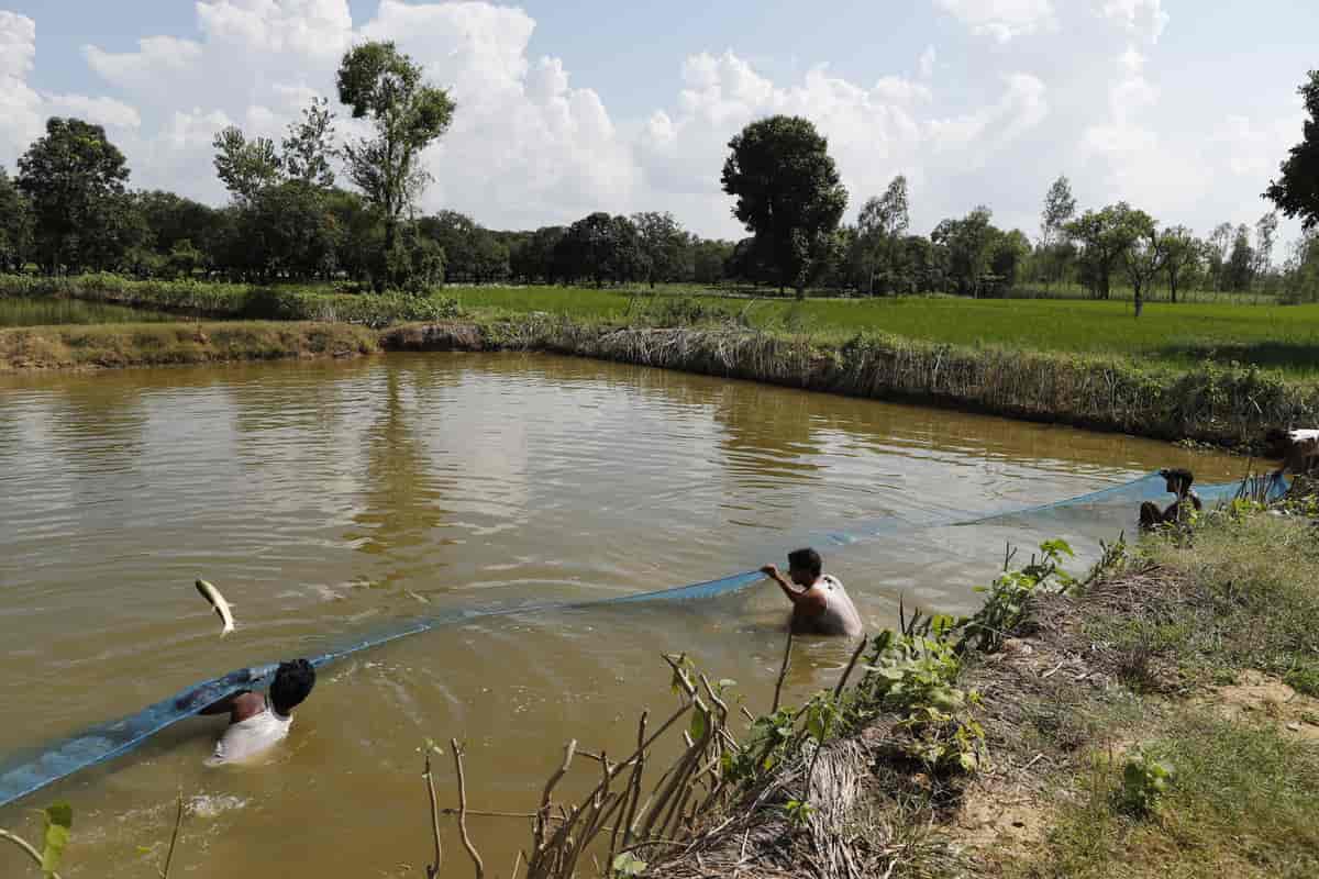 Fiskere i Uttar Pradesh (2021)