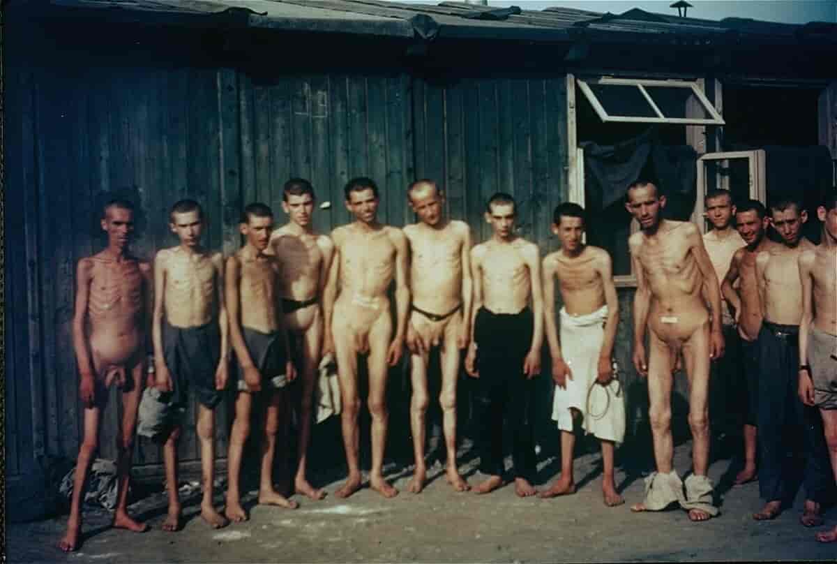 Overlevende fra Mauthausen