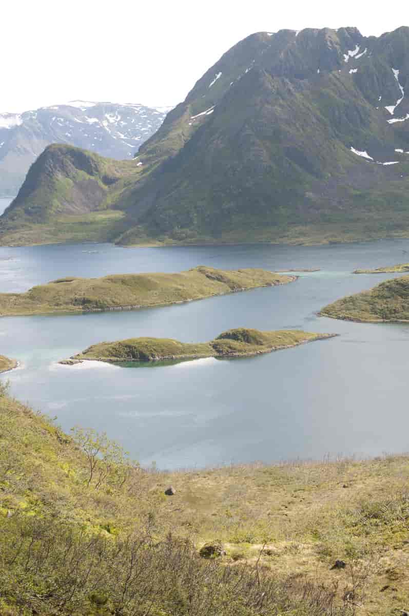Husfjorden på Sørøya